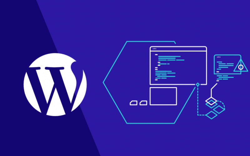 WordPress Şifre